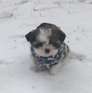 Meet your Posher, Barbara